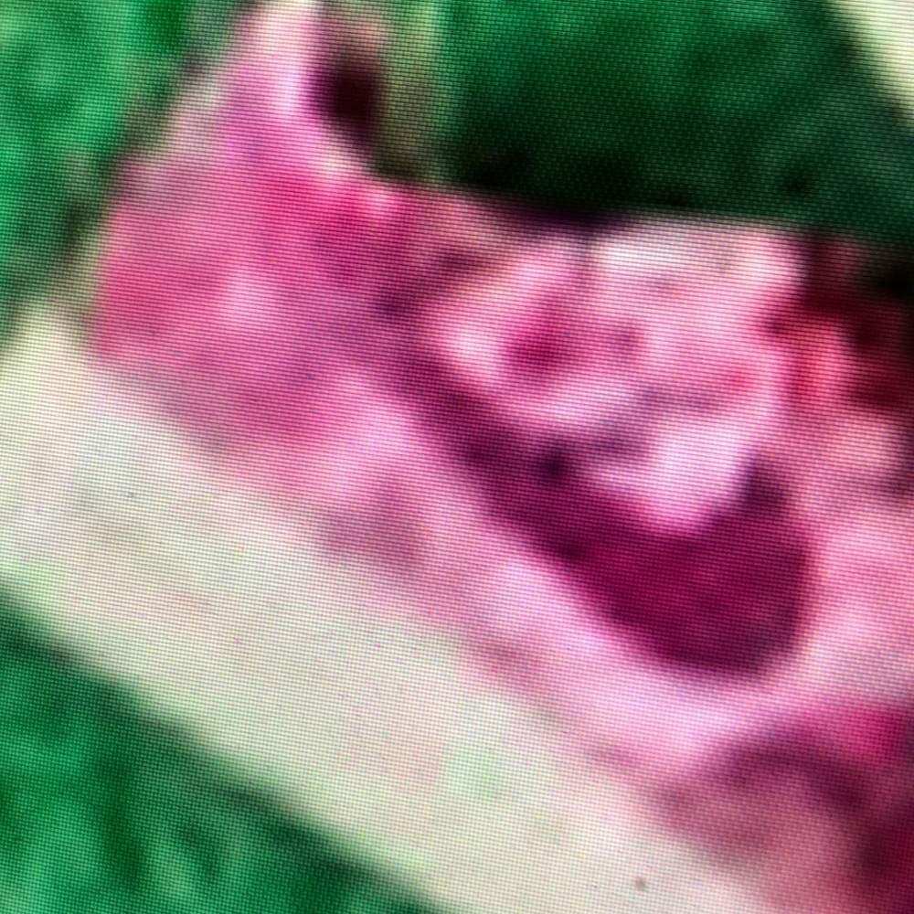 Meet your Posher, Miller